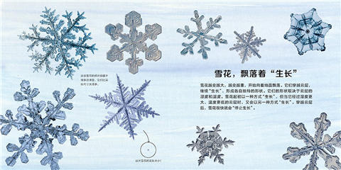 蒲蒲兰 雪花的故事 马克·卡西诺 3-4-5-6岁儿童绘本 正版 商品图4