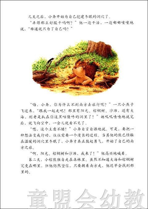 海豚 小棕熊的梦 湖北美术出版社 商品图3