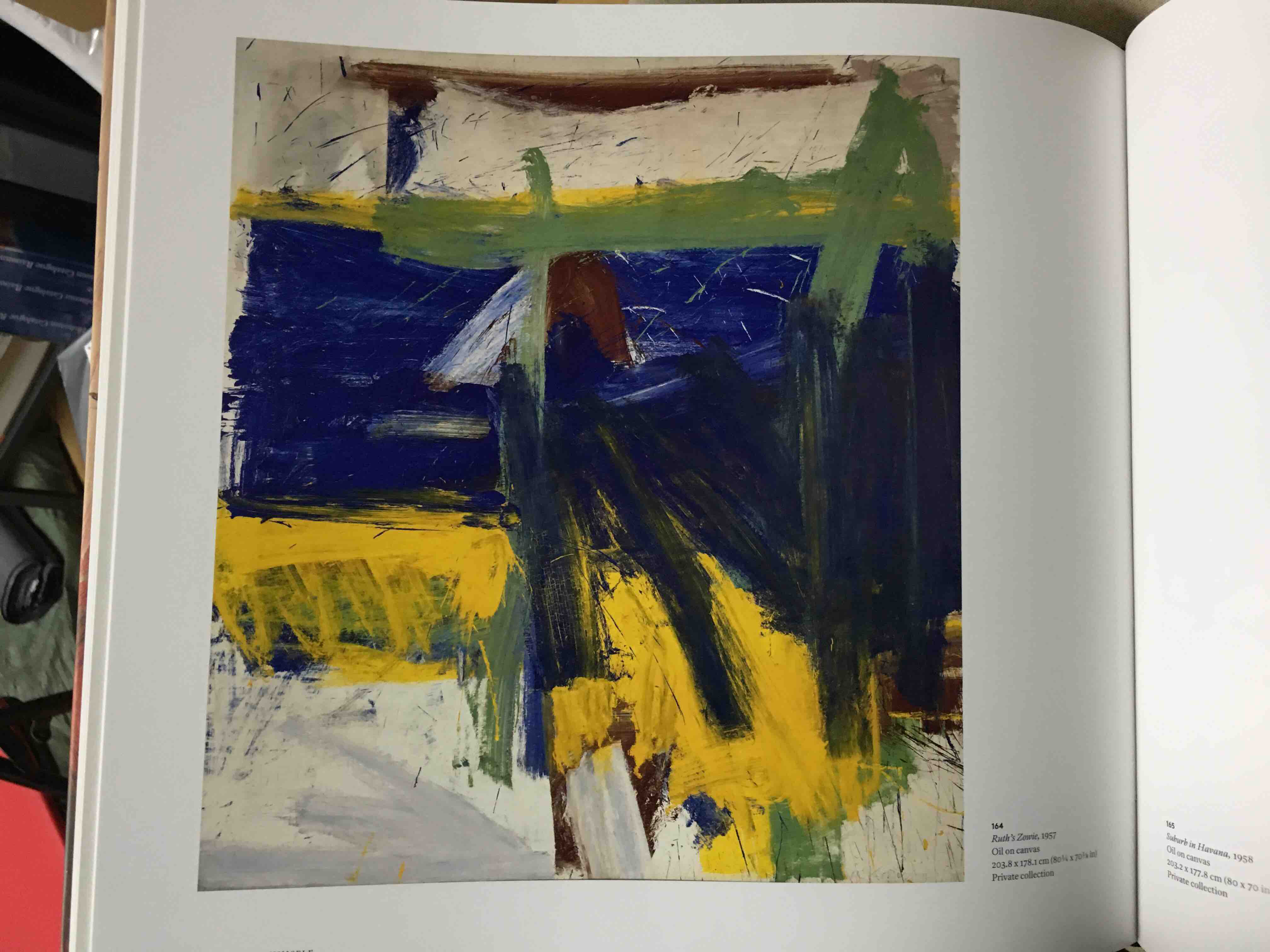 willemstad de kooning 威廉 德库宁 2014年 英国原版