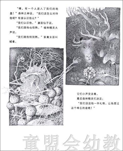 海豚 魔法森林的夜晚 湖北美术出版社 商品图3