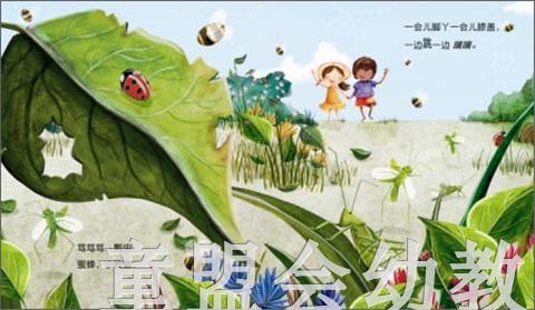 海豚 珍藏绘本集-阳光和雪球（平）长江少年儿童出版社 商品图4