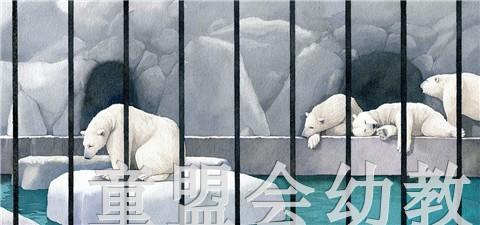 蒲蒲兰 白熊 李美静 适合3-4-5-6岁儿童读物 正版 商品图3