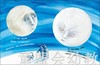 海豚 两个月亮（精装）长江少年儿童出版社 商品缩略图4