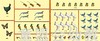 蒲蒲兰 汉娜的母鸡 艾琳·布朗 3-4-5-6岁儿童读物 正版 商品缩略图4