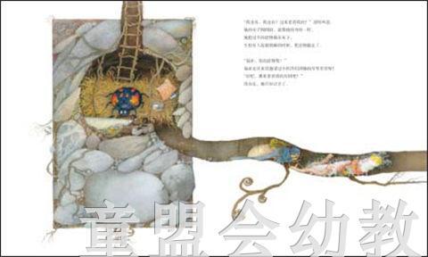 海豚 会飞的梦 长江少年儿童出版社 商品图2