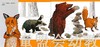 蒲蒲兰 不是那样，是这样的！卡琳·谢尔勒 3-4-5-6岁 正版 商品缩略图4