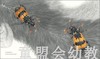 海豚 埋葬虫  长江少年儿童出版社 商品缩略图3