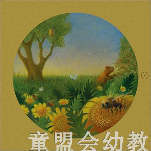 海豚 打开画册看自然 长江少年儿童出版社 商品图2