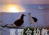蒲蒲兰 黑背信天翁与风使好朋友 卢冢学 3-4-5-6岁儿童读物 正版 商品缩略图3