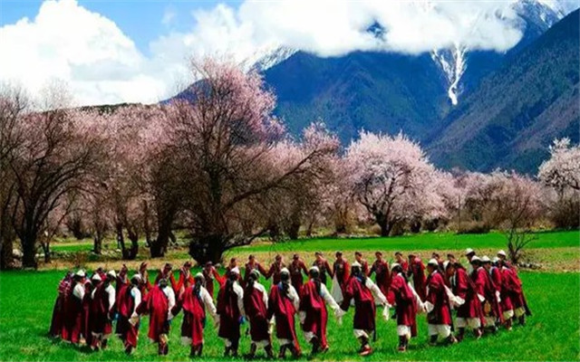 【西藏桃花节】日光倾城暖流年,这个桃花节,我在拉萨(林芝)等你