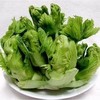 儿菜500g 商品缩略图0