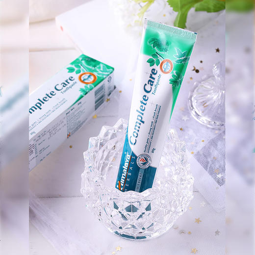 印度草本护理牙膏80克 纯素牙膏 Himalaya 商品图1