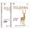 SQL基础教程*2版+SQL进阶教程 SQL畅销书 SQL菜鸟进阶*备 商品缩略图0