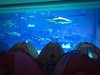 深海"睡衣派对"，就问你来不来? 商品缩略图0