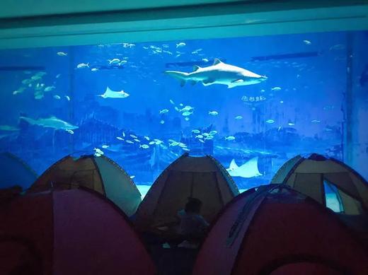 深海"睡衣派对"，就问你来不来? 商品图0