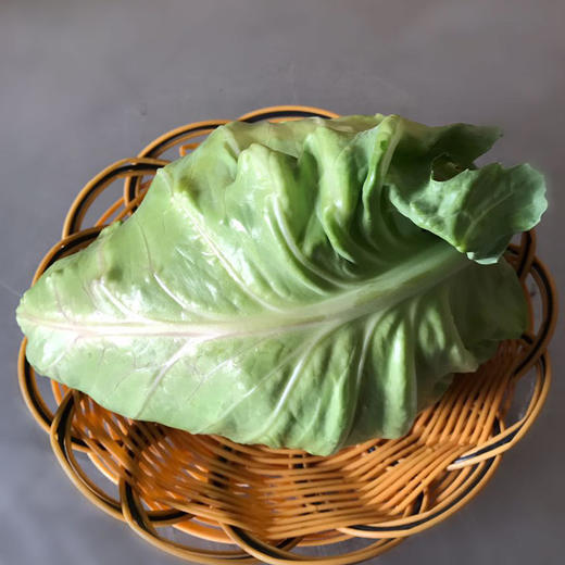 牛心菜 商品图2