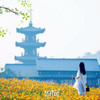 【妈网定制】无锡拈花湾小镇亲子游；虽有拈花名 但无拈花意 一花一世界 一叶一菩提 参禅尘世里 回眸几众生 商品缩略图0