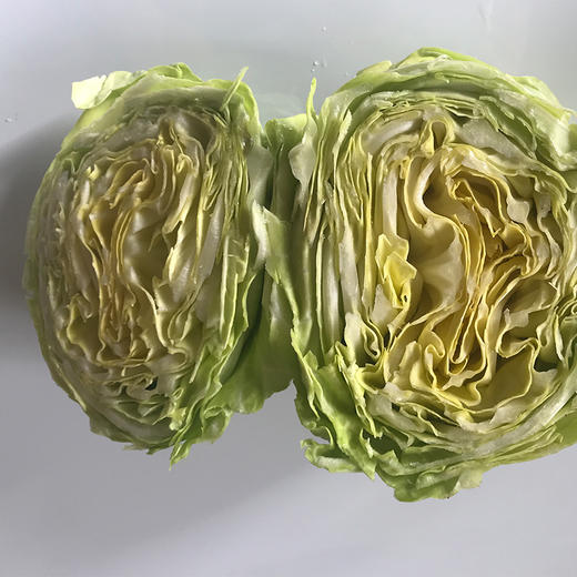 牛心菜 商品图1
