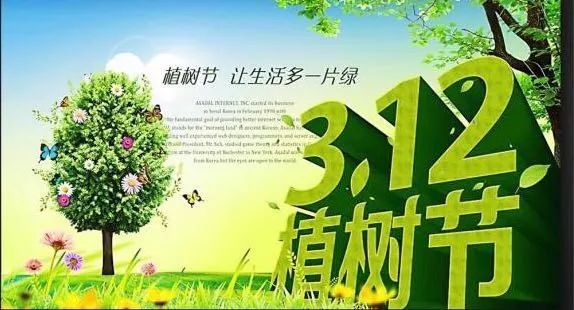 绿了地上的小草 同样吹动了孩子们的热情 3月12日是一年一度的植树节