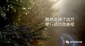再见！窗帘业，我再也不干了！？