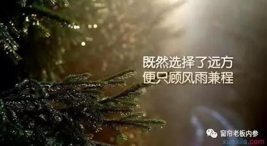 再见！窗帘业，我再也不干了！？ 商品图0