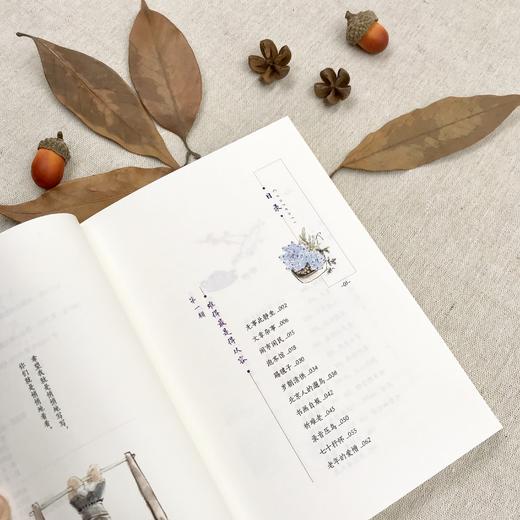 《找点乐子》沈从文、贾平凹、铁凝、苏童、叶兆言等作家推崇备至的文坛大师 作家、画家林帝浣倾情献绘精美插图 “人活着，就得有点兴致。” 人生少忧虑，生活才好玩，看汪曾祺如何洒脱寻乐，游戏人间。 商品图5