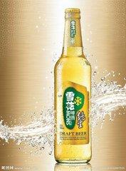 雪花纯生啤酒/瓶
