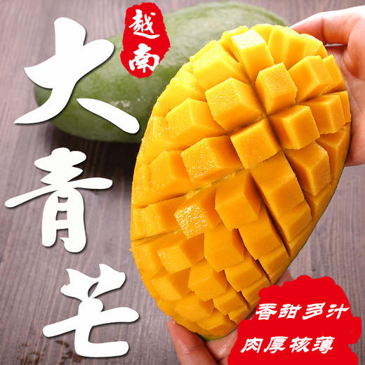 【经典芒果】新鲜越南大青芒果   肉嫩多汁  个大核薄 甜蜜美味 商品图0