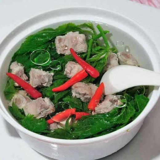 桑嫩芽嫩芽菜(网红爆款)桑叶250g/包 商品图4