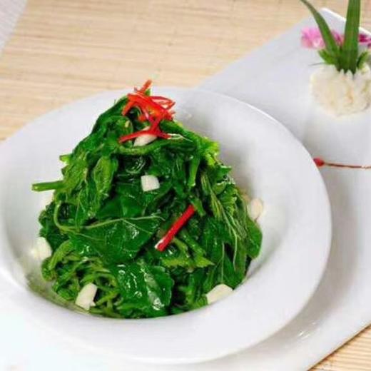 桑嫩芽嫩芽菜(网红爆款)桑叶250g/包 商品图2