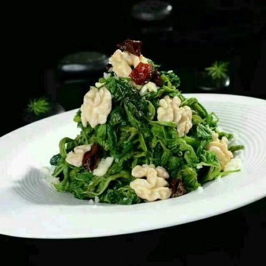 桑嫩芽嫩芽菜(网红爆款)桑叶250g/包 商品图0