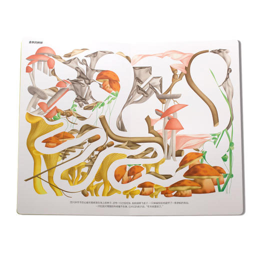 翻开看看是什么 商品图3