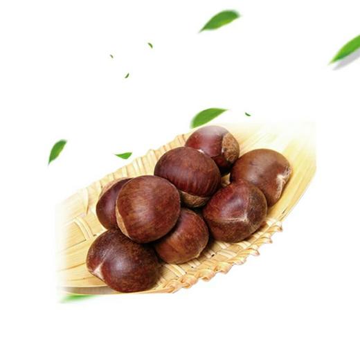 油栗300g-迁西绿色种植 商品图0