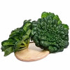 乌塌菜  400g 商品缩略图1