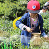 【妈网春游】之“竹茗仙境”茶博园 04/05、06  采茶、品茶、挖笋、DIY紫砂壶、游览竹海仙境 商品缩略图0
