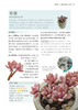 零基础养多肉——养活 养好 养出色  （300余张多肉美图学养肉）多肉书花艺书籍养花书籍 商品缩略图4