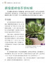 零基础养多肉——养活 养好 养出色  （300余张多肉美图学养肉）多肉书花艺书籍养花书籍 商品缩略图3