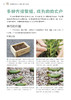 零基础养多肉——养活 养好 养出色  （300余张多肉美图学养肉）多肉书花艺书籍养花书籍 商品缩略图2
