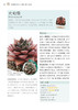 零基础养多肉——养活 养好 养出色  （300余张多肉美图学养肉）多肉书花艺书籍养花书籍 商品缩略图5