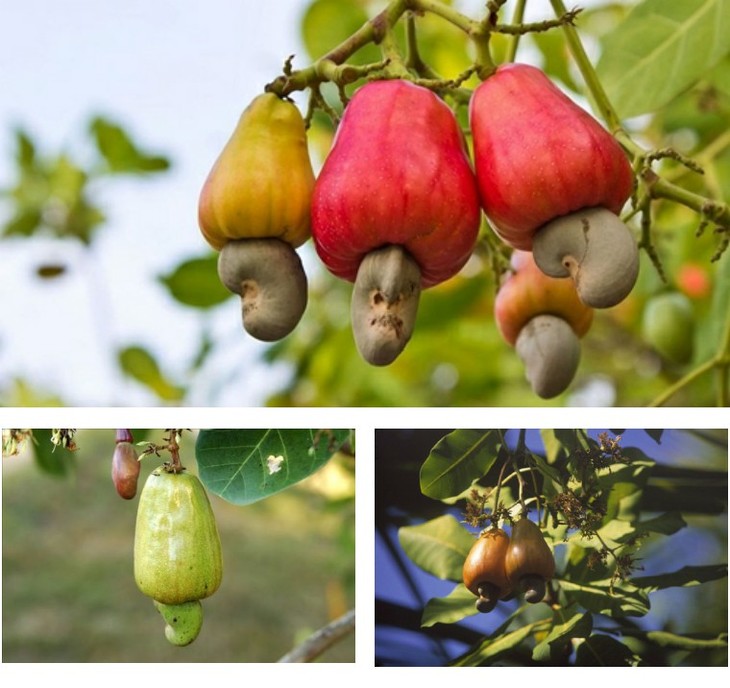 Դ ůԽ ֲϴ,,Խ