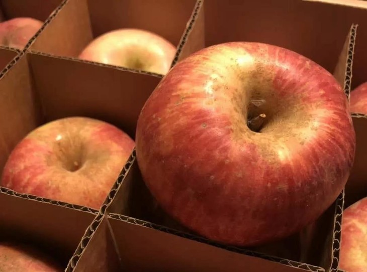 苹果的大小 有赞