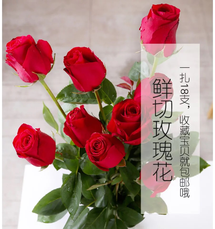 玫瑰花一束买18朵送2朵 送女朋友送老婆 情人节礼物