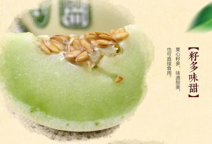 海南白雪蜜瓜-约1.5kg