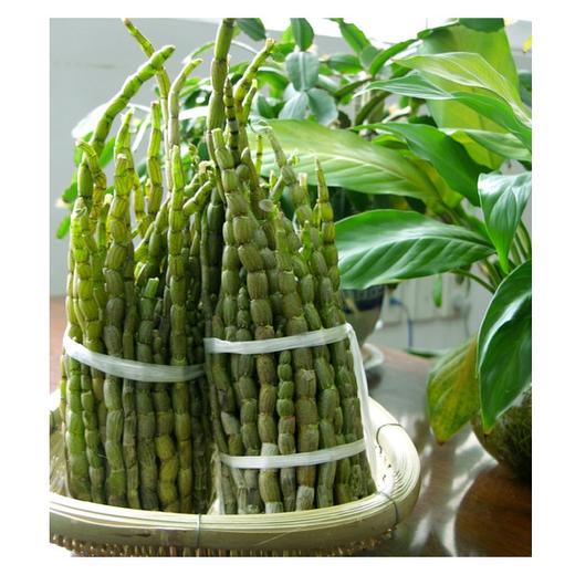铁皮石斛（鲜条） 商品图1