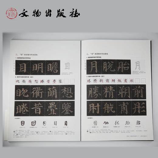 了如指掌书法高效入门 颜体（一） 商品图2