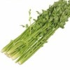 实心芹300g 商品缩略图0