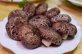 蘑菇包