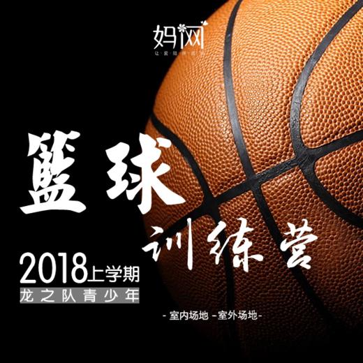 【妈网】城西室内场地、室外场地少儿篮球训练营火热报名，职业教练，妈网特惠价，送篮球服 商品图0