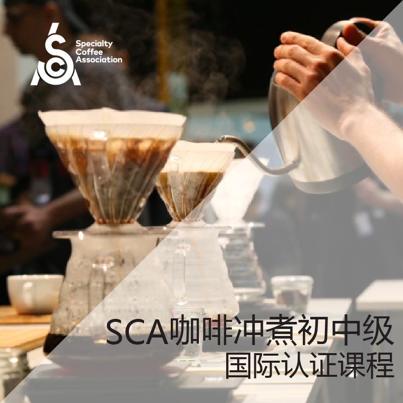 sca咖啡冲煮初中级国际认证课程