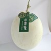 海南白雪蜜瓜1.3kg-1.5kg 商品缩略图0